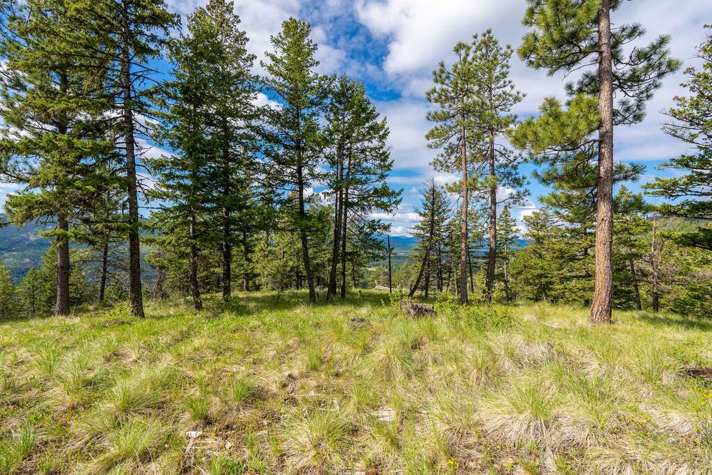 Land/Vacant Land's Image 87