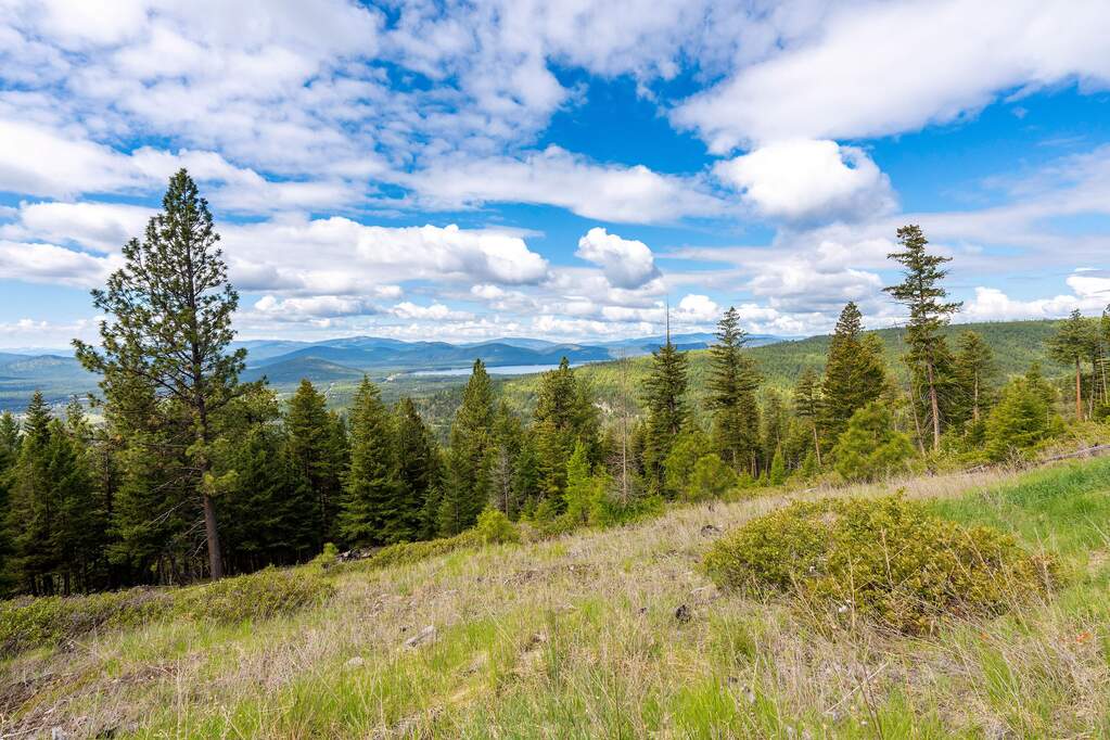 Land/Vacant Land's Image 90