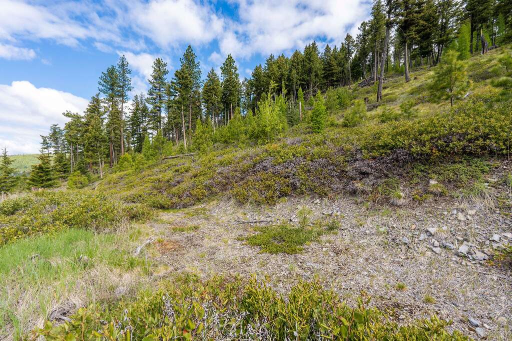 Land/Vacant Land's Image 91