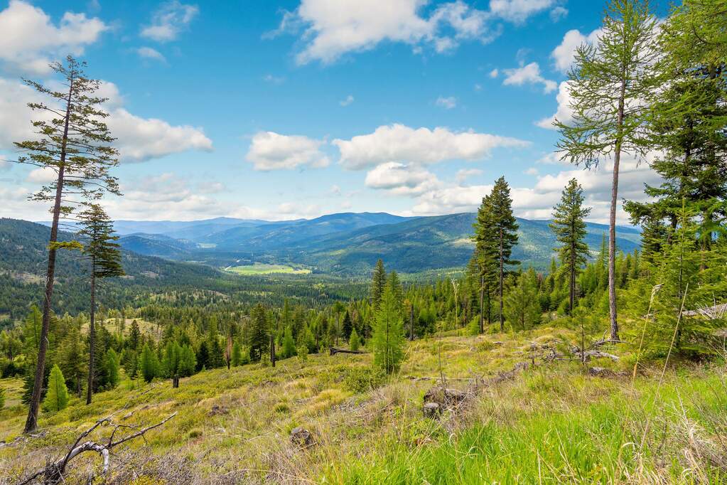 Land/Vacant Land's Image 92