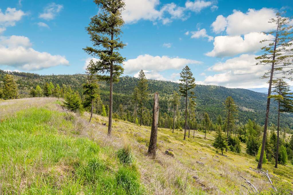 Land/Vacant Land's Image 93