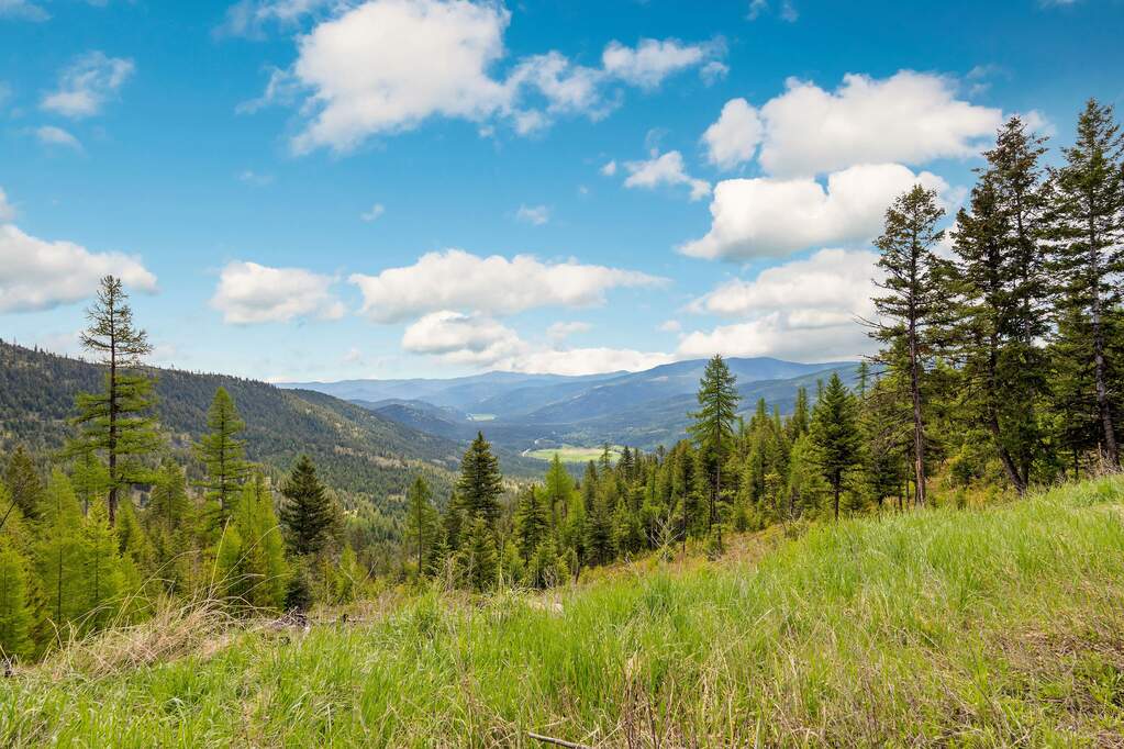 Land/Vacant Land's Image 94