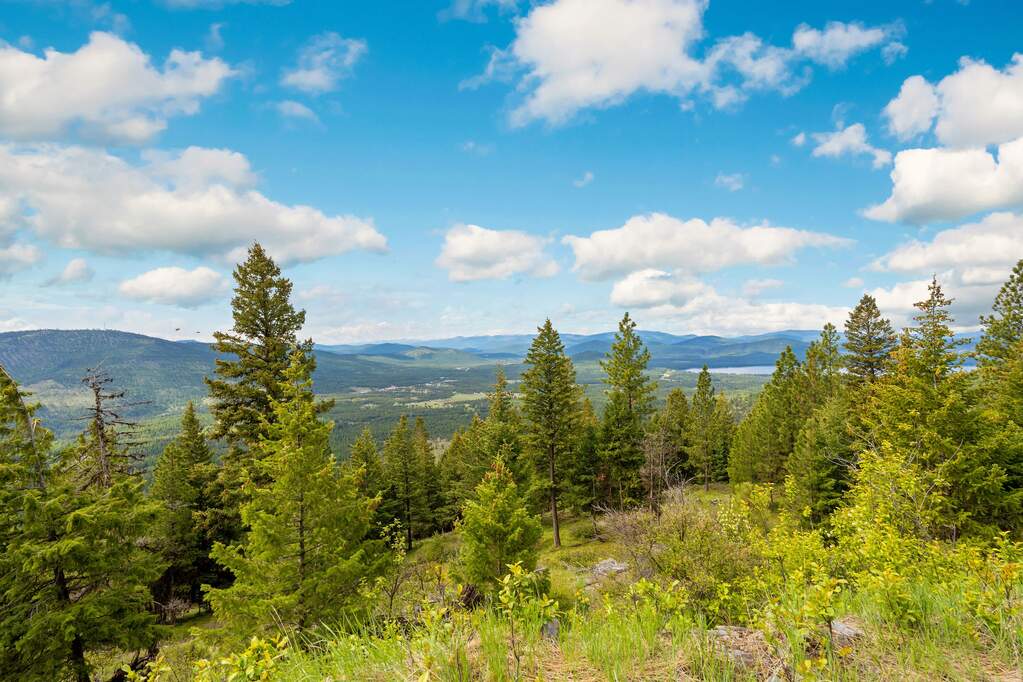 Land/Vacant Land's Image 96