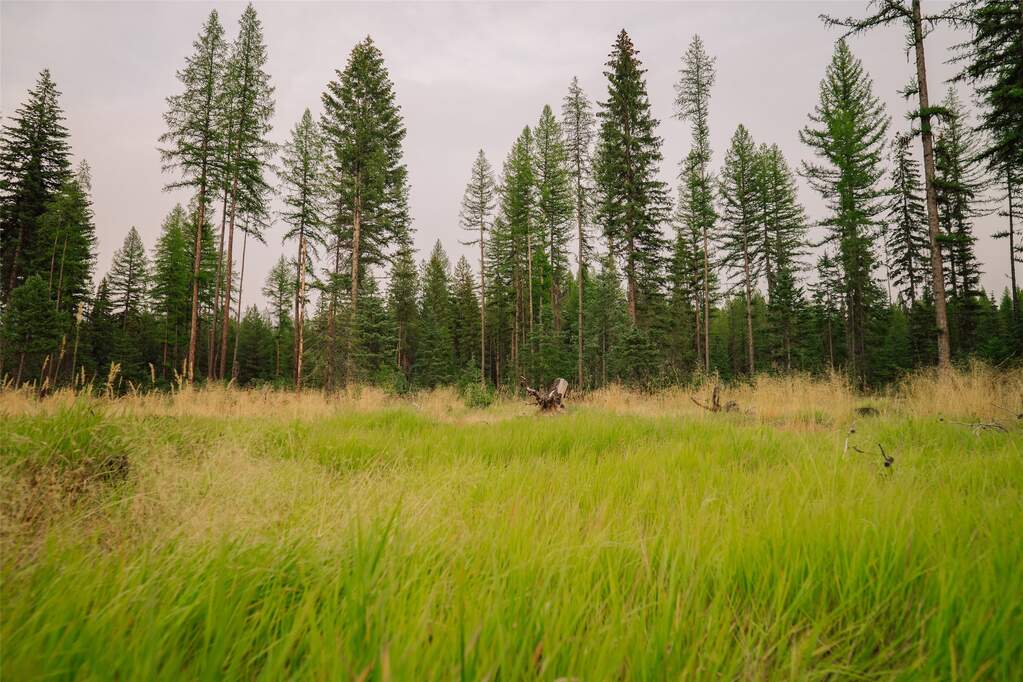 Land/Vacant Land's Image 7