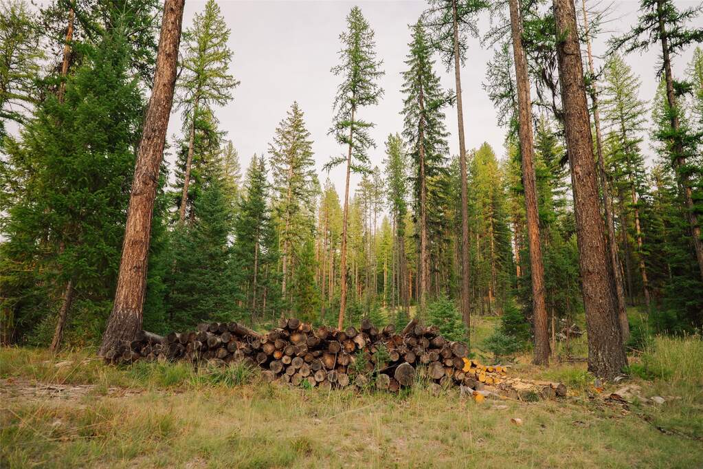 Land/Vacant Land's Image 9