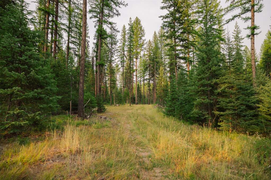 Land/Vacant Land's Image 10