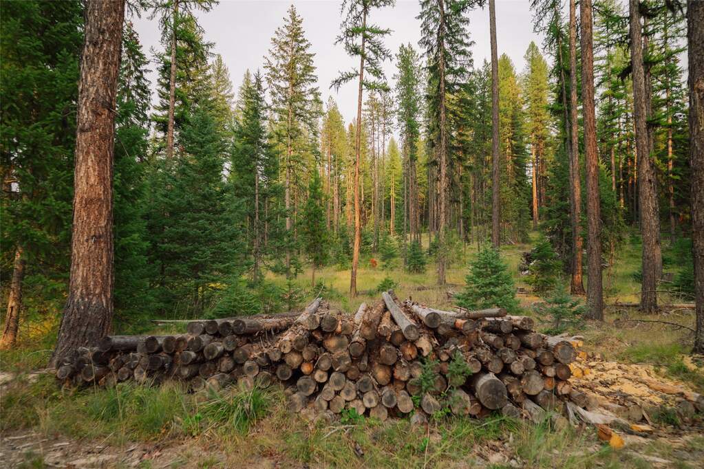 Land/Vacant Land's Image 11