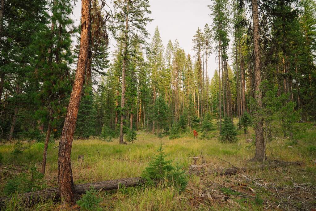 Land/Vacant Land's Image 12