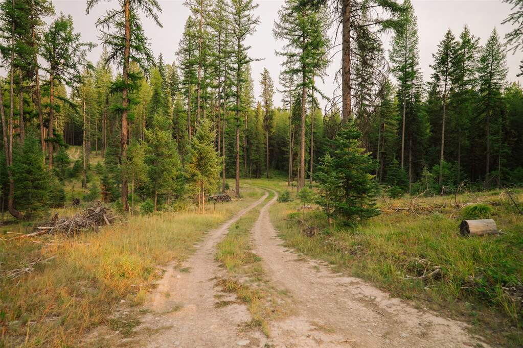Land/Vacant Land's Image 14