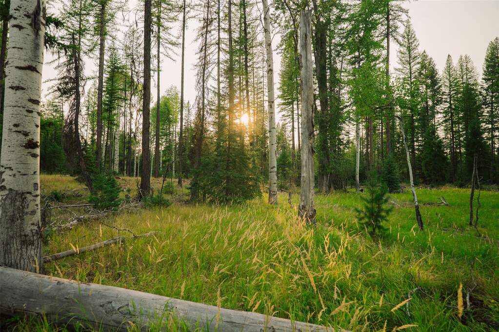 Land/Vacant Land's Image 15