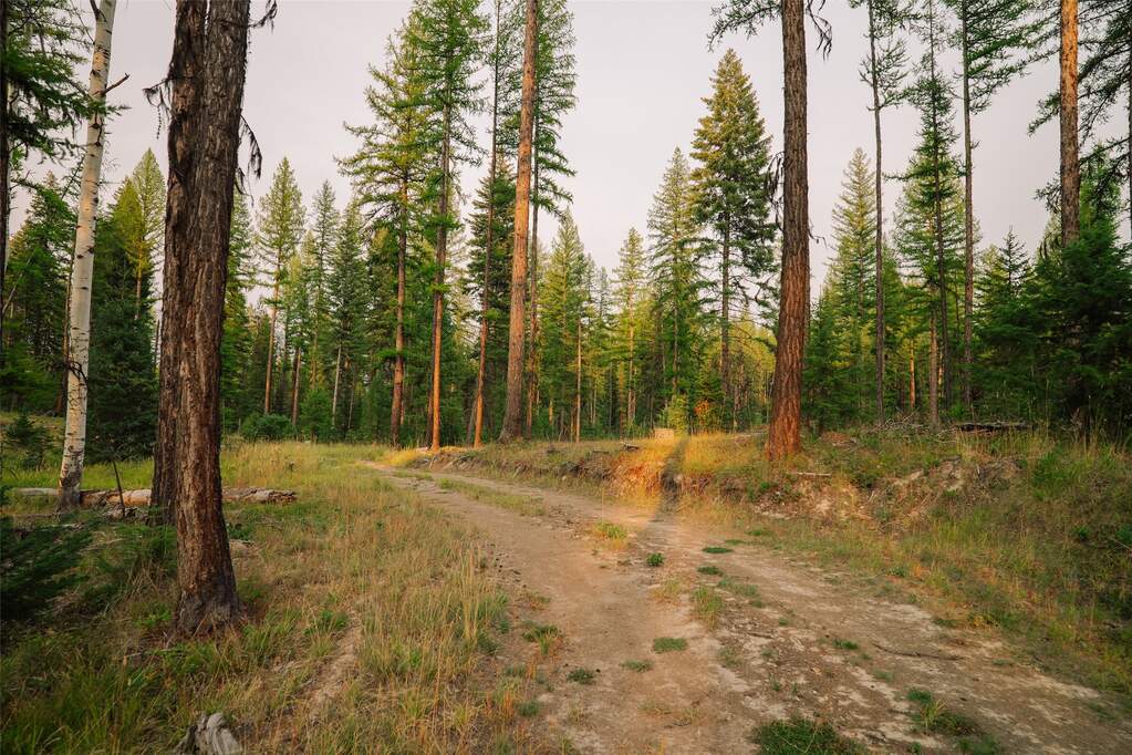 Land/Vacant Land's Image 16