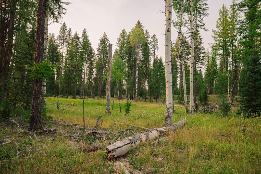 Land/Vacant Land's Image 17