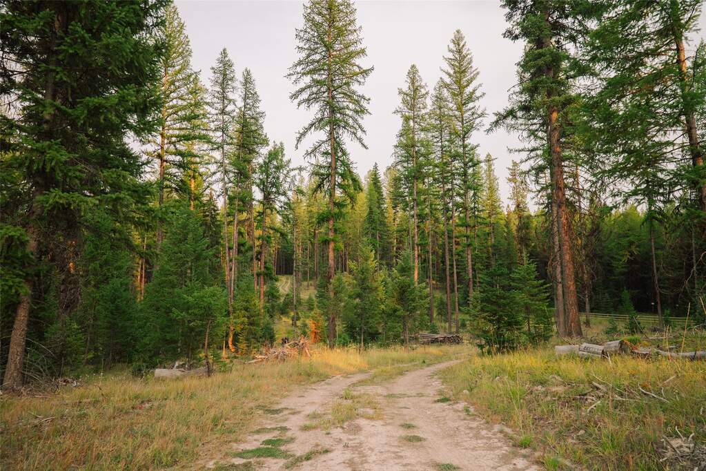Land/Vacant Land's Image 18