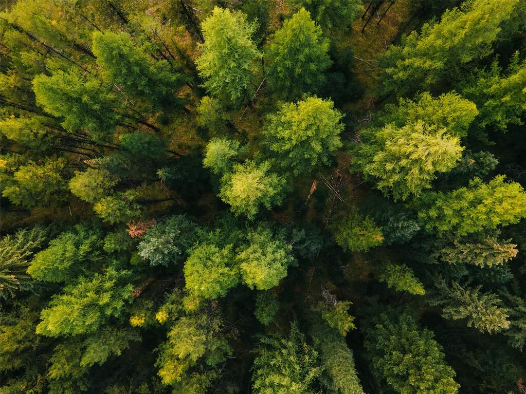 Land/Vacant Land's Image 21