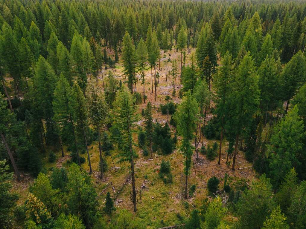 Land/Vacant Land's Image 4
