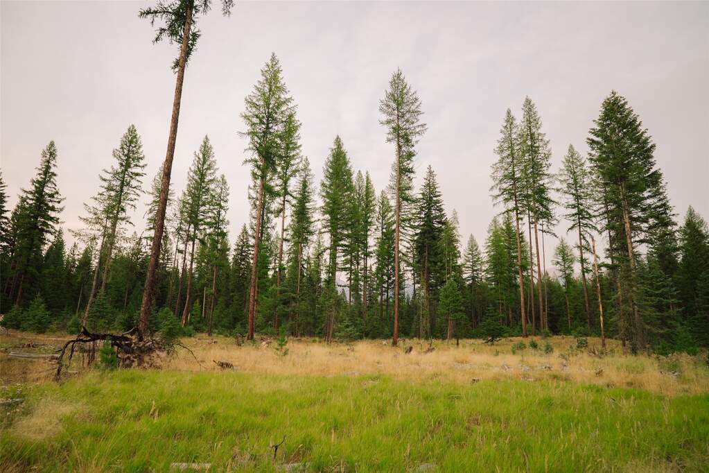 Land/Vacant Land's Image 6