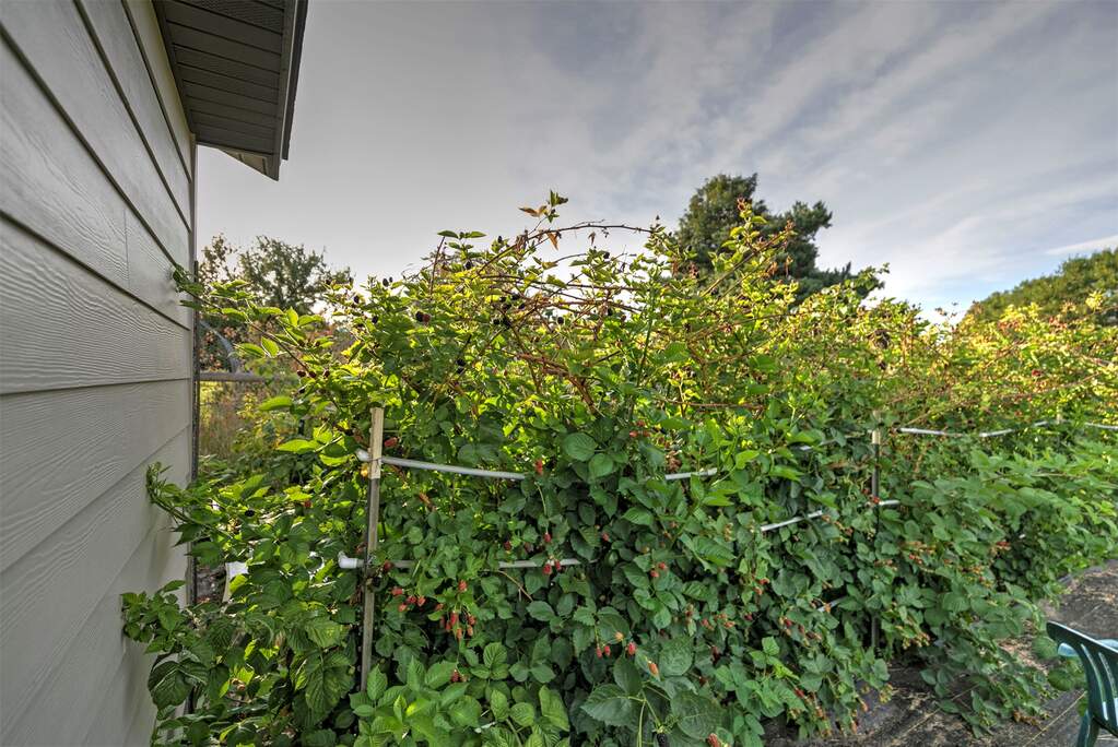 4 Bedroom Single Family Home/House's Image 72