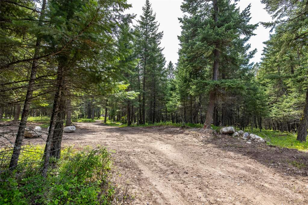 Land/Vacant Land's Image 8