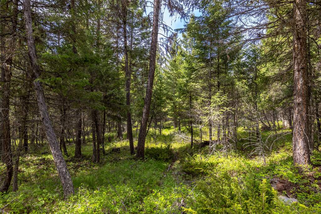 Land/Vacant Land's Image 9