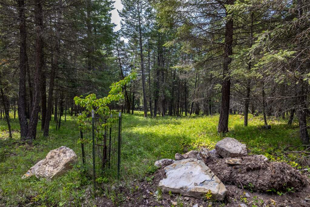 Land/Vacant Land's Image 10
