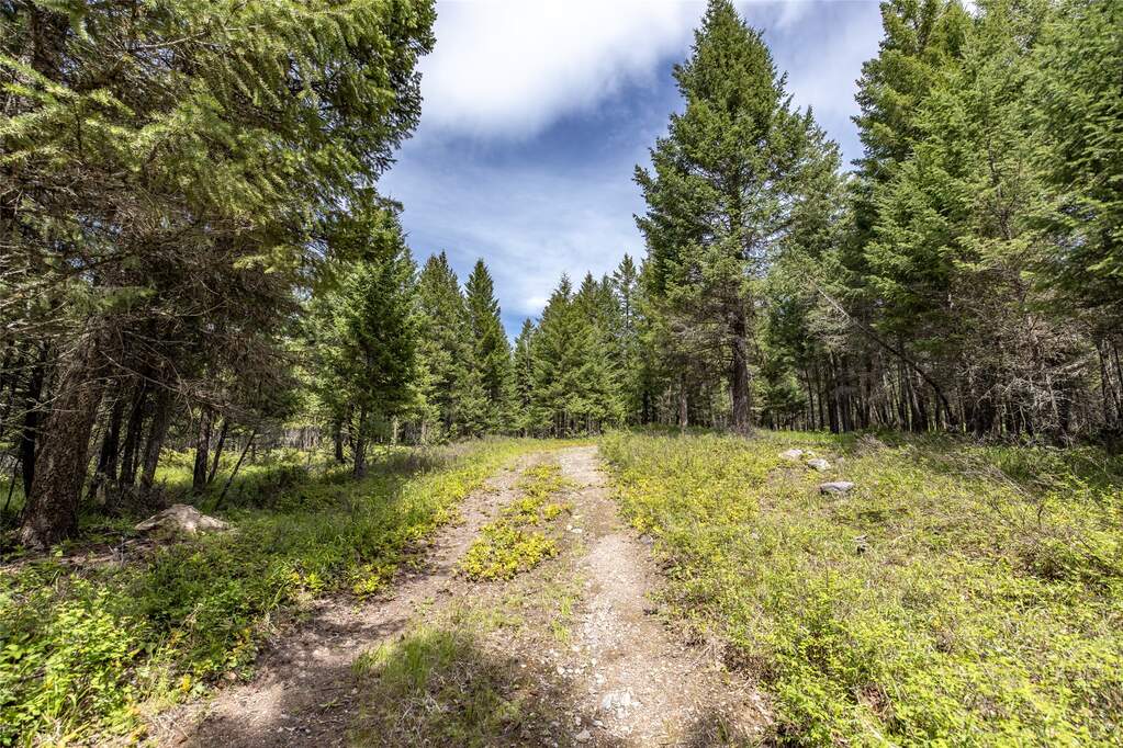 Land/Vacant Land's Image 14