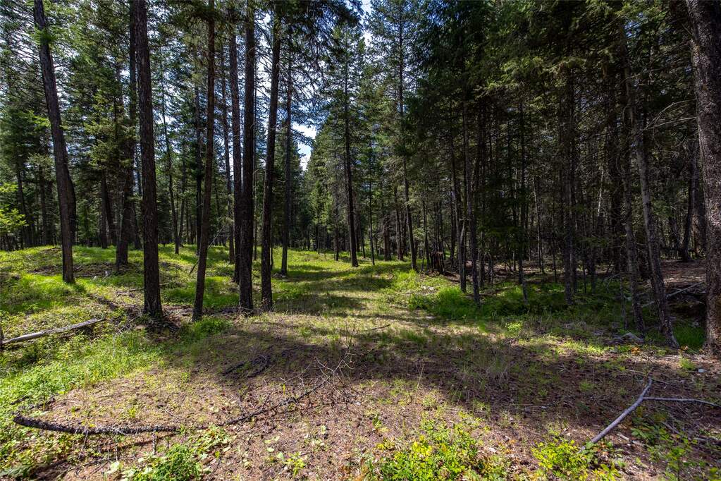 Land/Vacant Land's Image 15