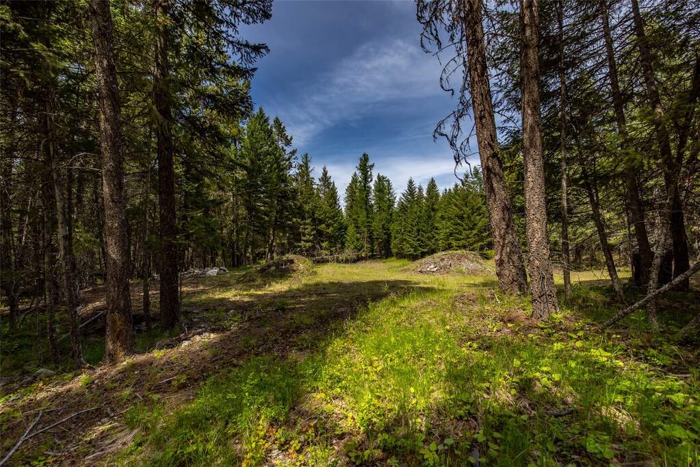 Land/Vacant Land's Image 16