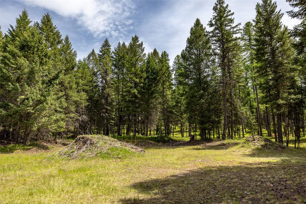 Land/Vacant Land's Image 18
