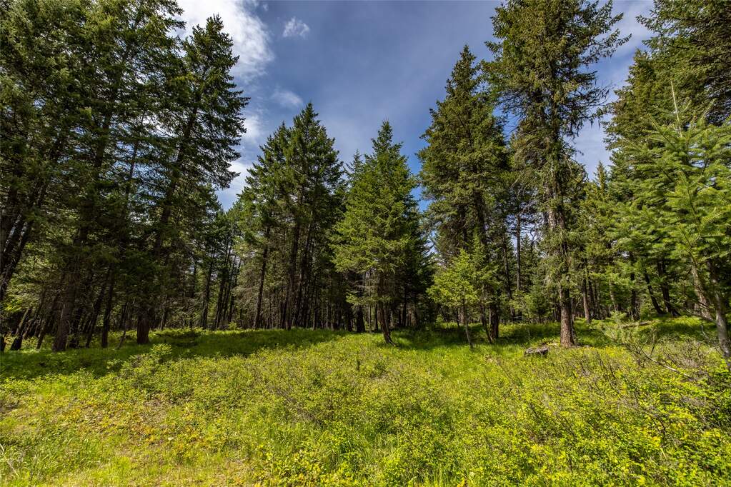 Land/Vacant Land's Image 19