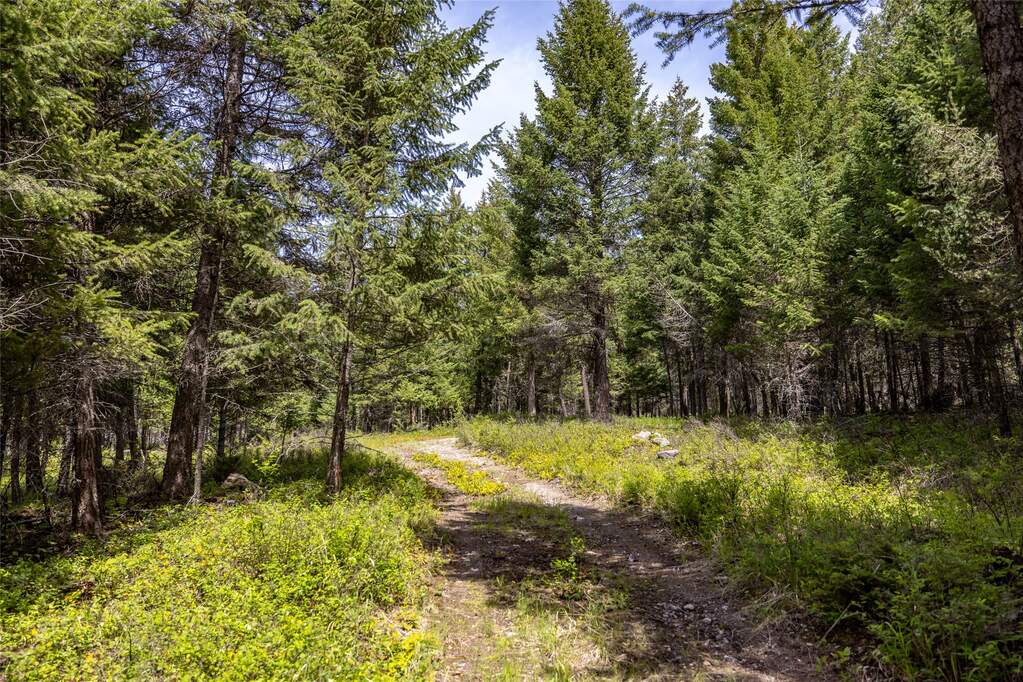 Land/Vacant Land's Image 20