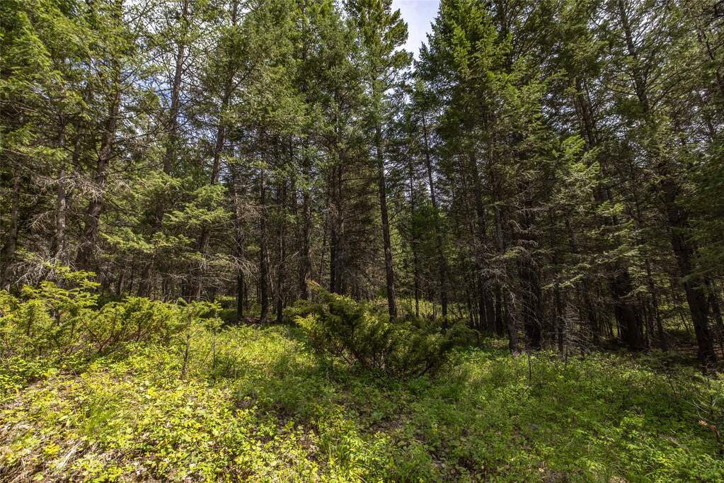 Land/Vacant Land's Image 22