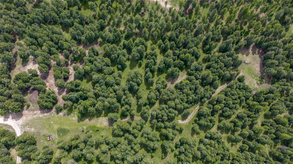 Land/Vacant Land's Image 23