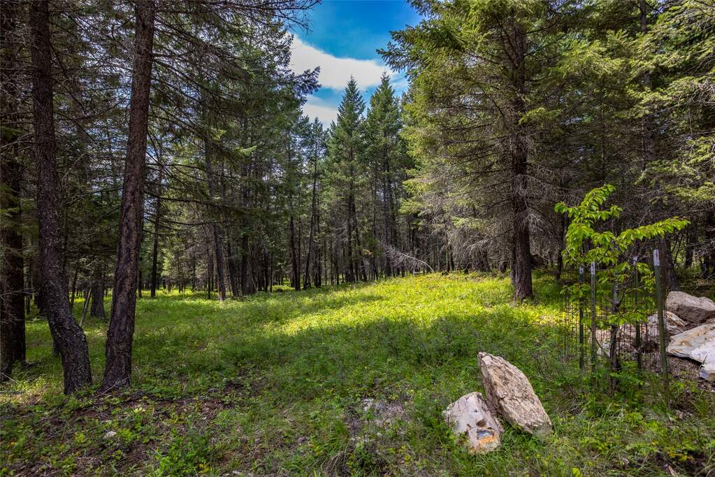 Land/Vacant Land's Image 4