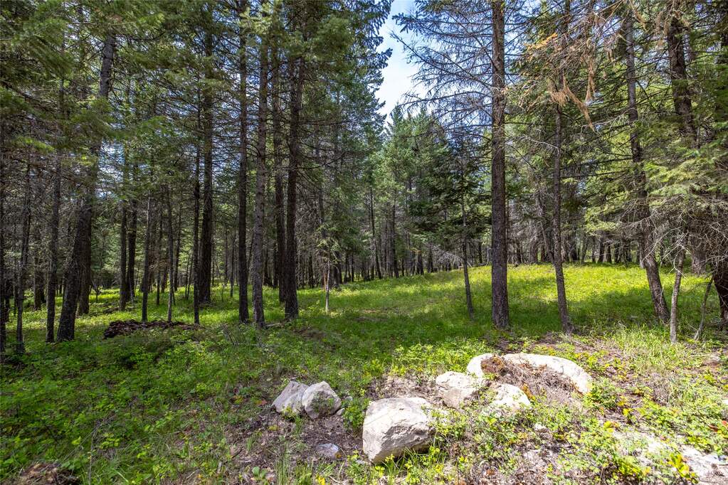 Land/Vacant Land's Image 6
