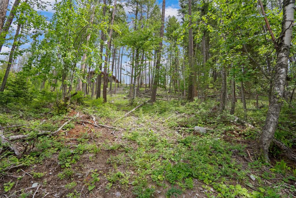 Land/Vacant Land's Image 19