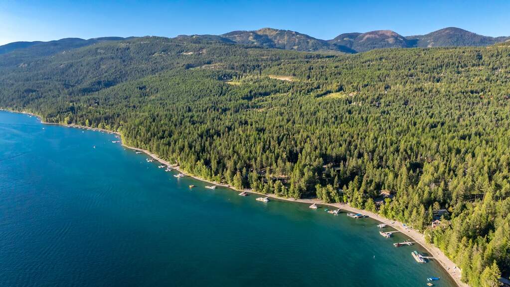 Whitefish