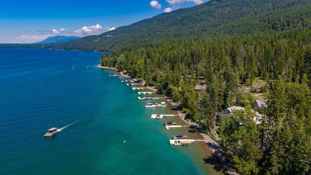 Whitefish
