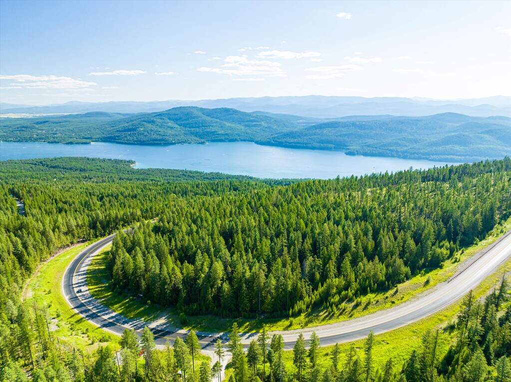 Whitefish