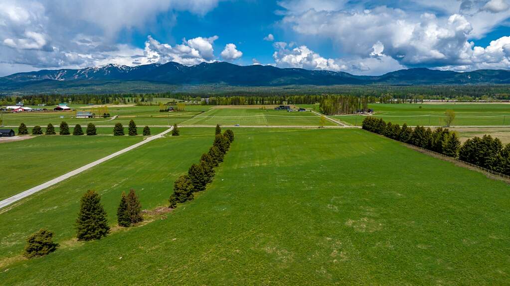 Whitefish