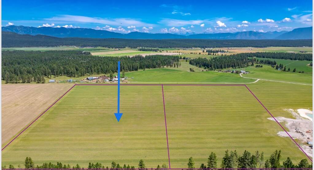 Whitefish
