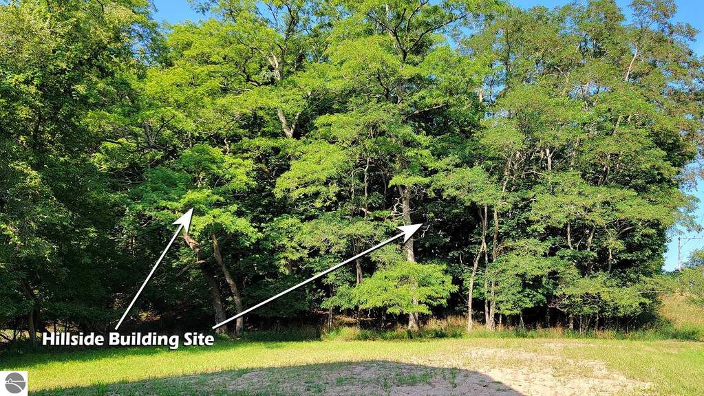 Land/Vacant Land's Image 10