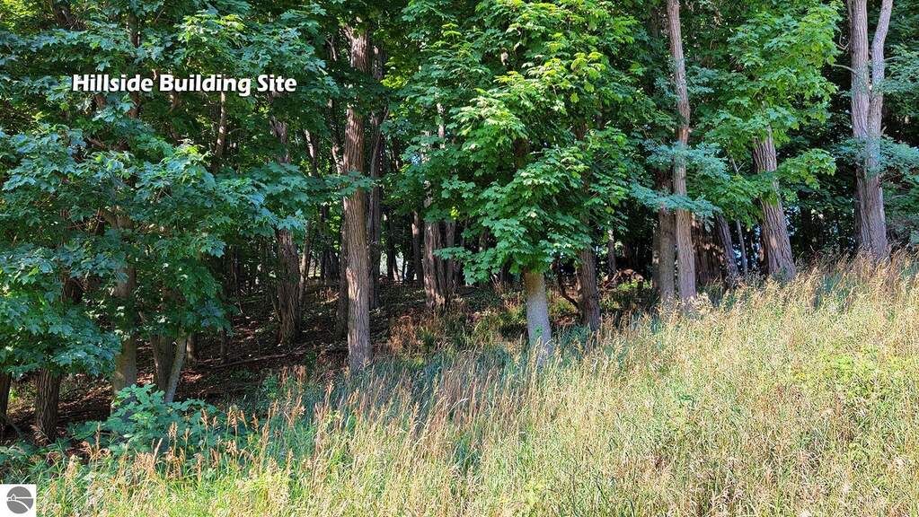 Land/Vacant Land's Image 11