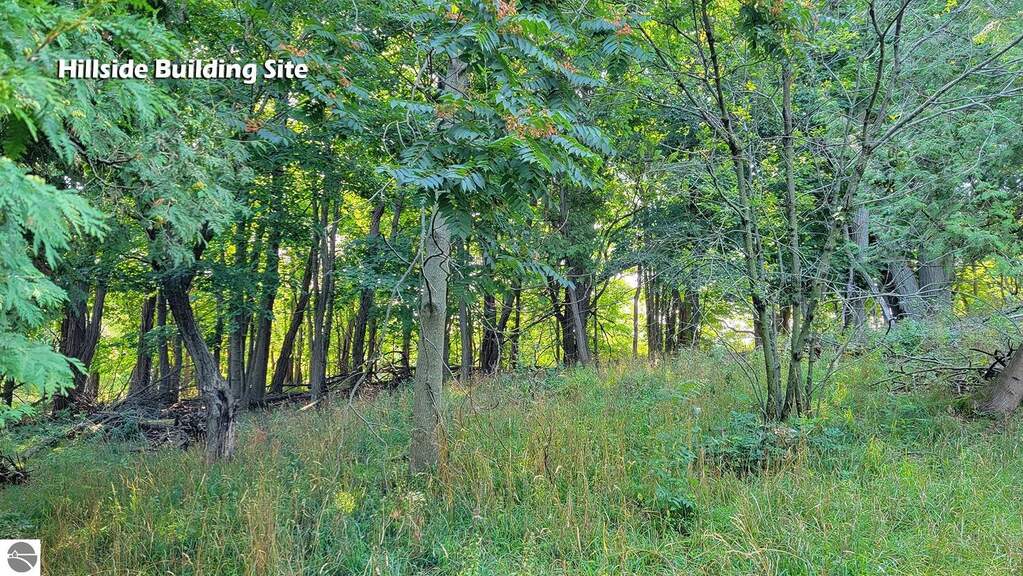 Land/Vacant Land's Image 12