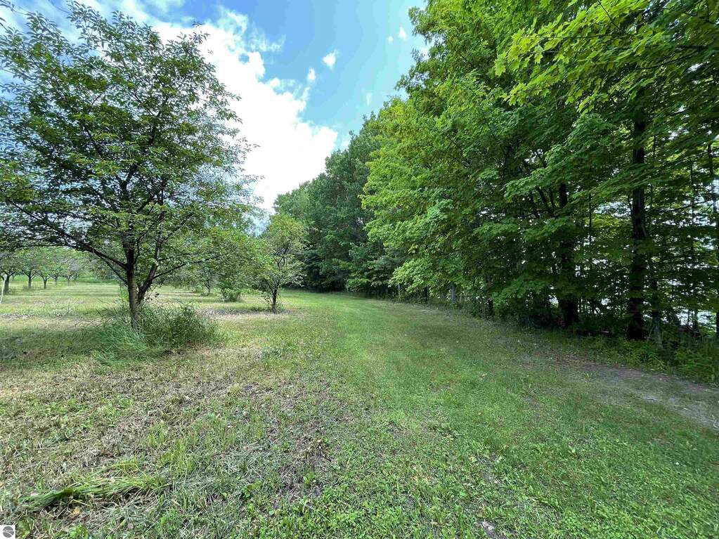Land/Vacant Land's Image 15