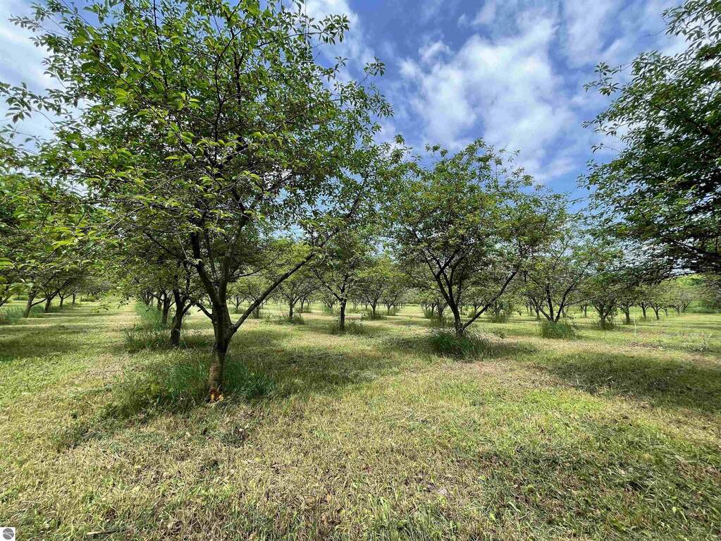 Land/Vacant Land's Image 7
