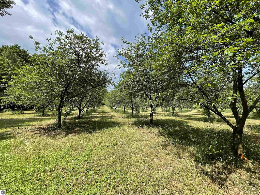 Land/Vacant Land's Image 15