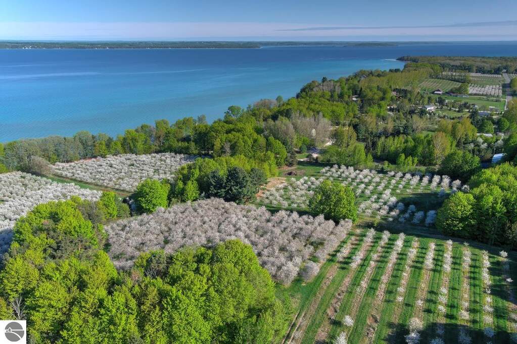 Land/Vacant Land's Image 22