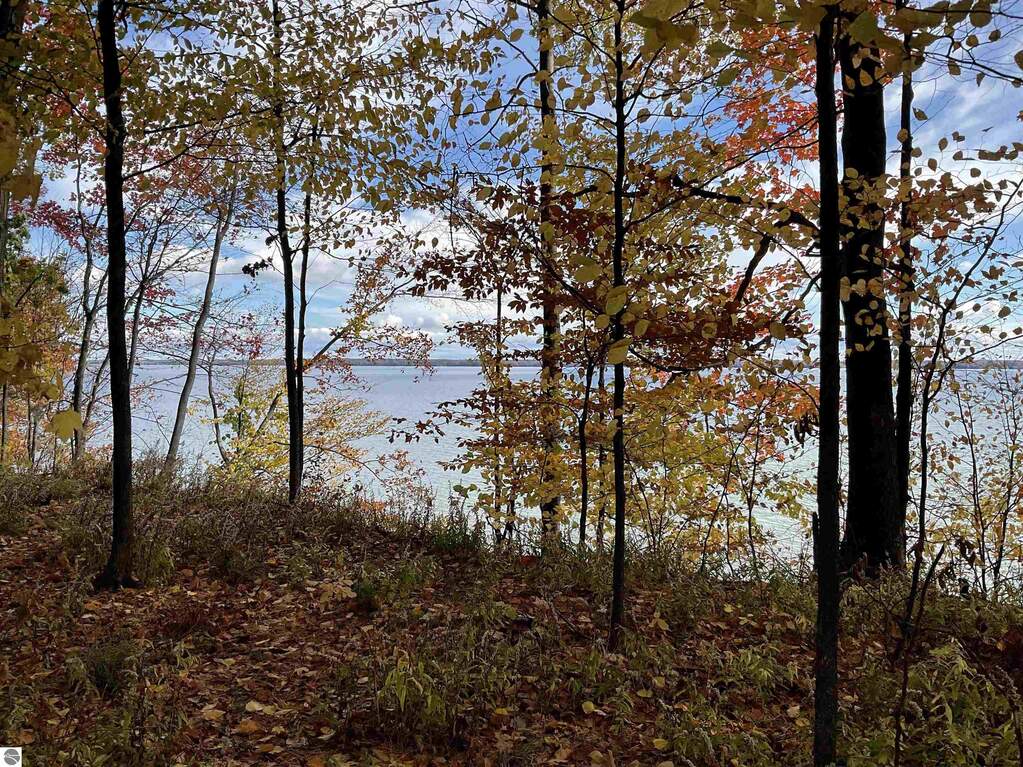 Land/Vacant Land's Image 3