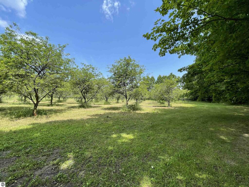 Land/Vacant Land's Image 12