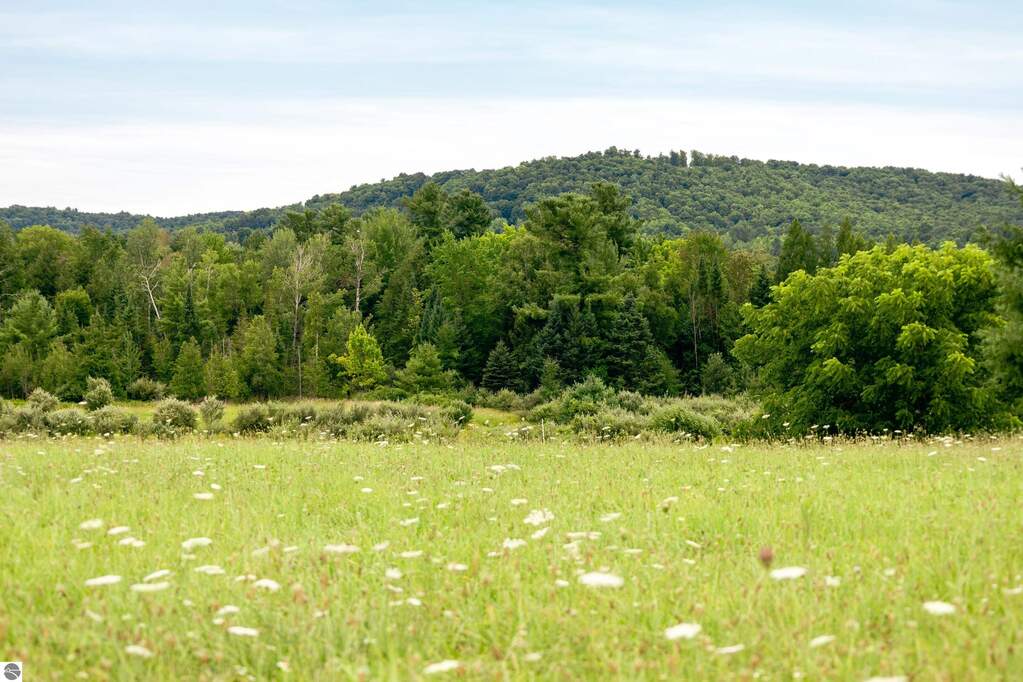Land/Vacant Land's Image 9